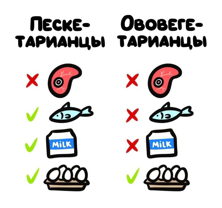 image-20250716150354-6