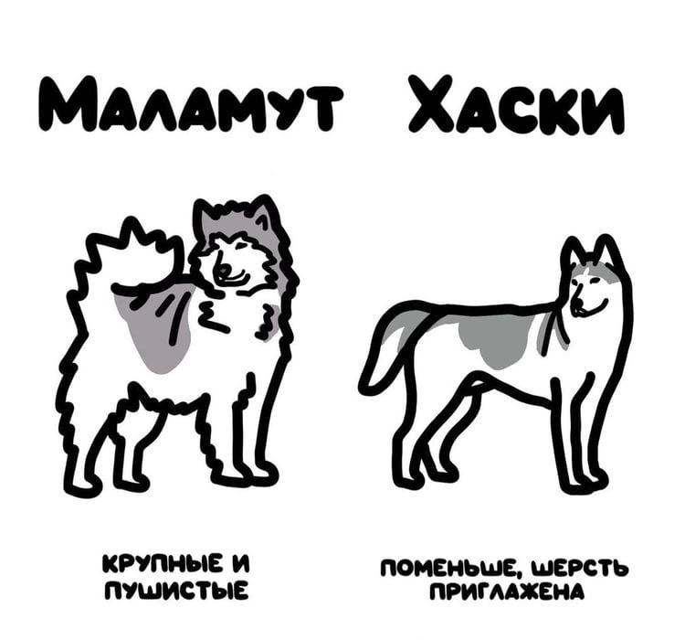 image-20250716150412-11