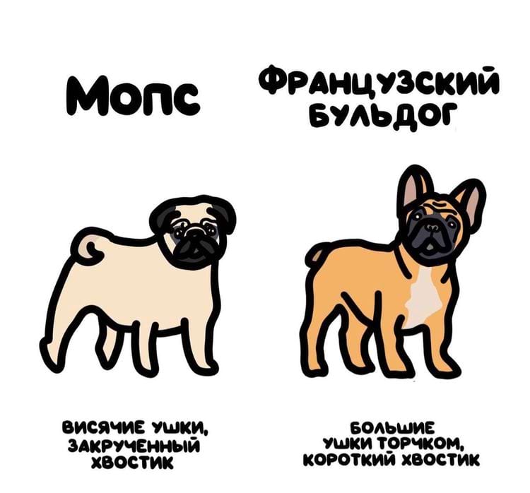 image-20250716150422-13