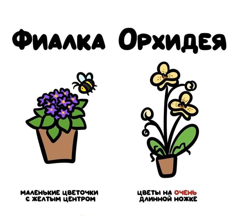 image-20250716150428-15