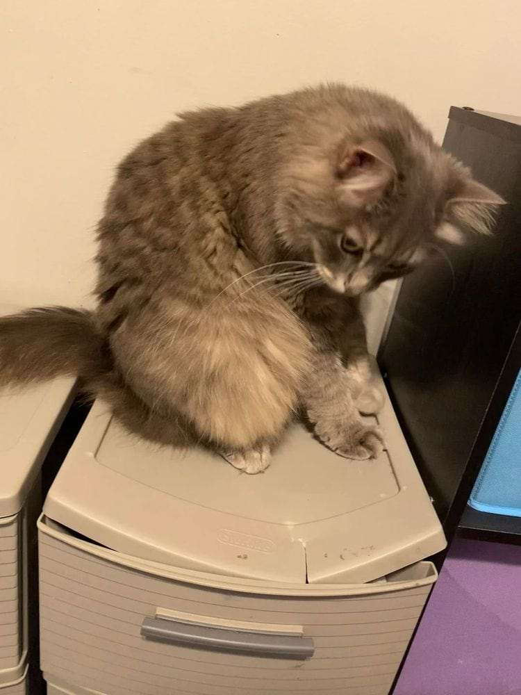 image-20250718141948-1