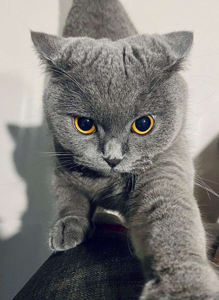 image-20250718141952-2