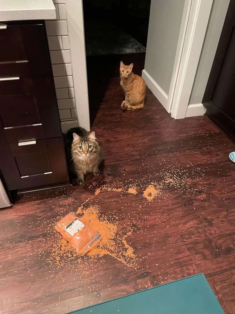 image-20250718142003-5