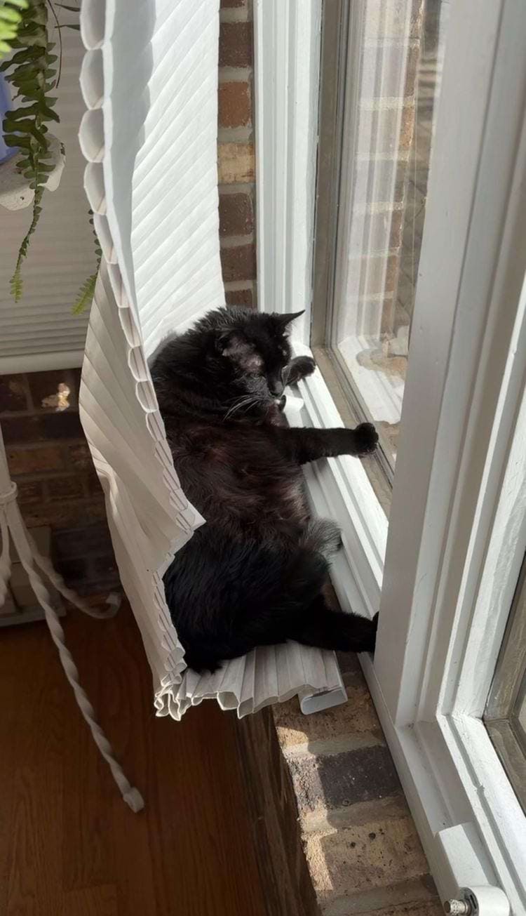 image-20250718142006-6