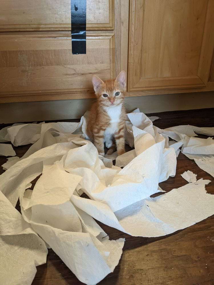 image-20250718142010-7