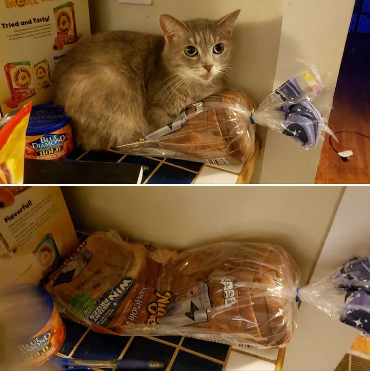 image-20250718142012-8