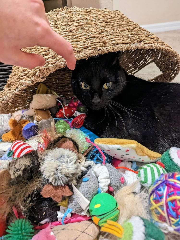 image-20250718142016-9