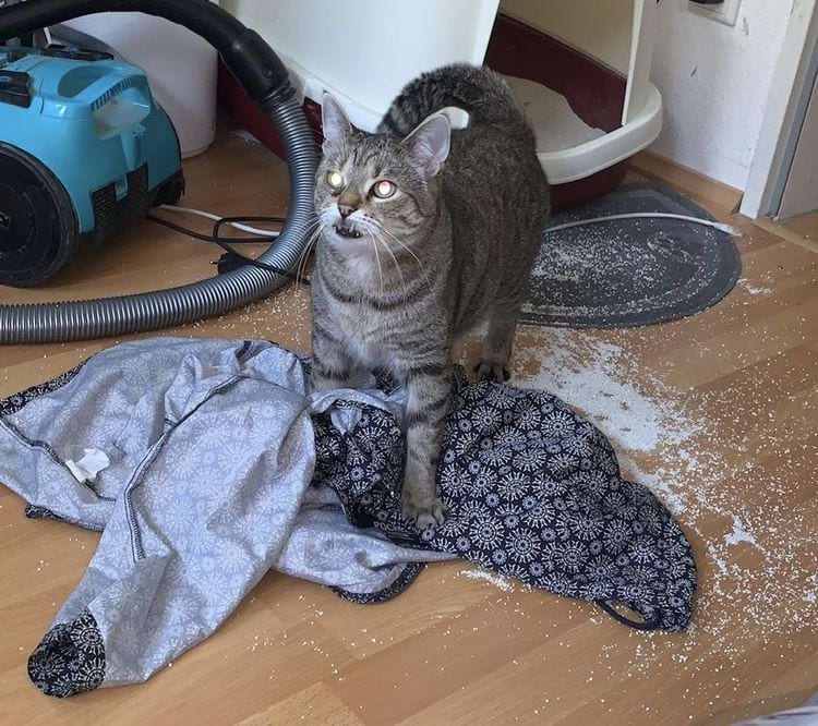 image-20250718142022-11