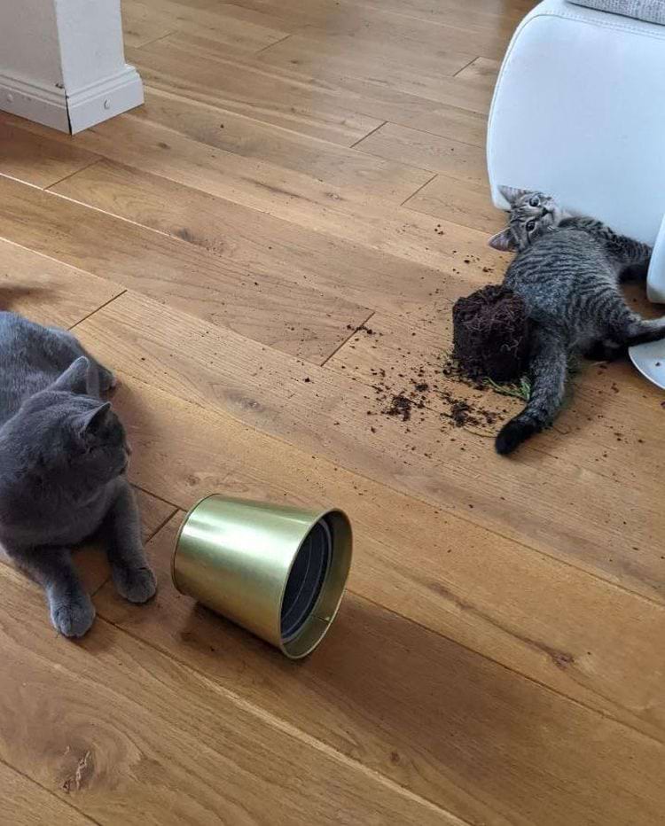 image-20250718142035-15