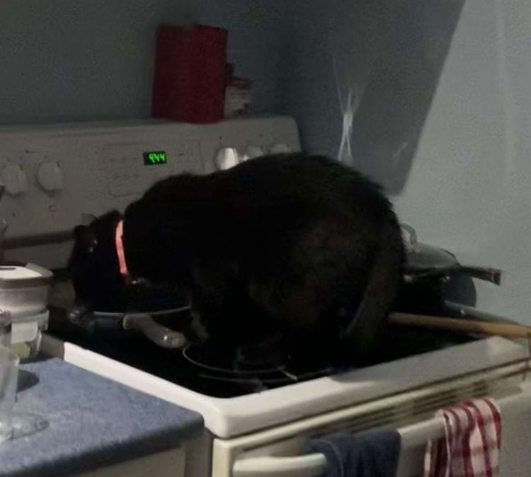 image-20250718142039-16