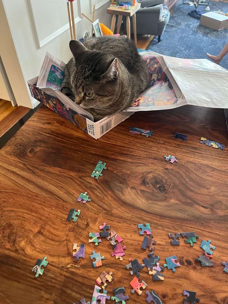 image-20250718142045-18