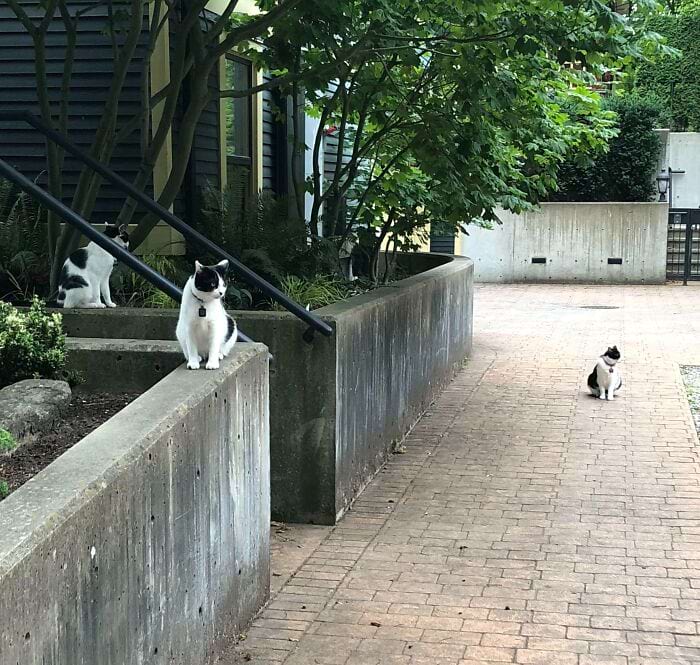 image-20250721114534-15