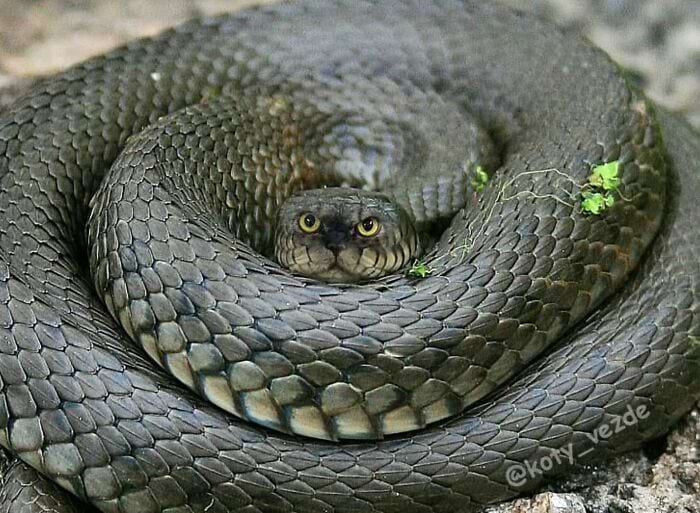 image-20250728104109-4