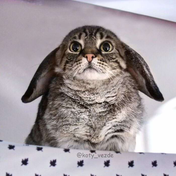 image-20250728104113-5