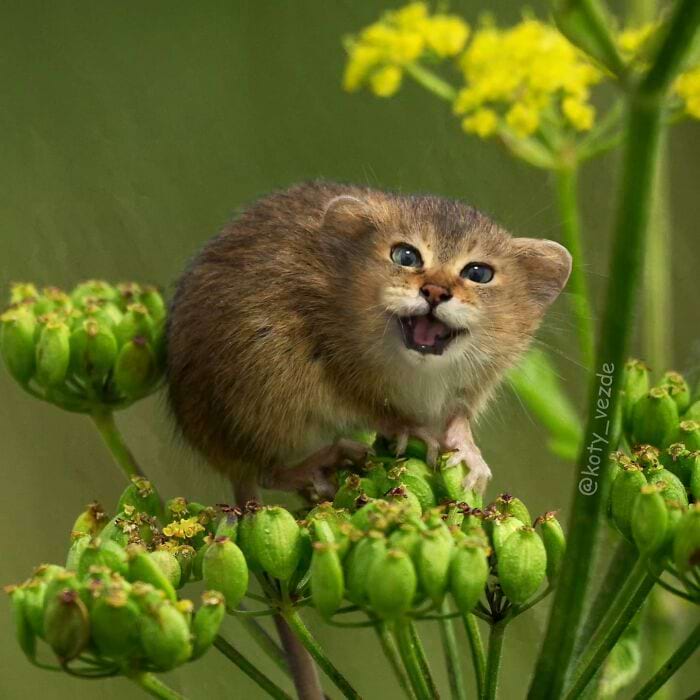 image-20250728104118-7