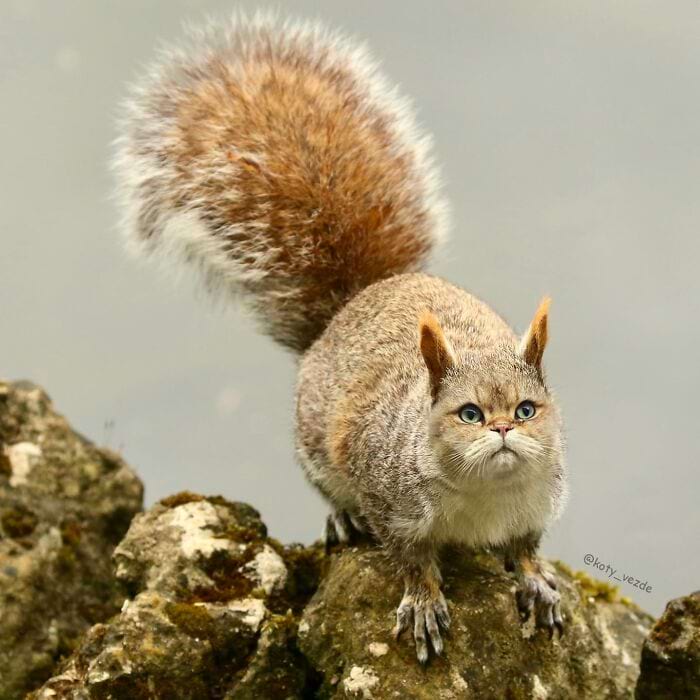 image-20250728104314-9