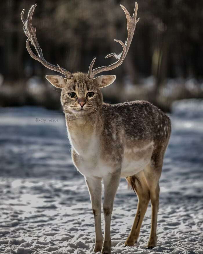 image-20250728104317-10