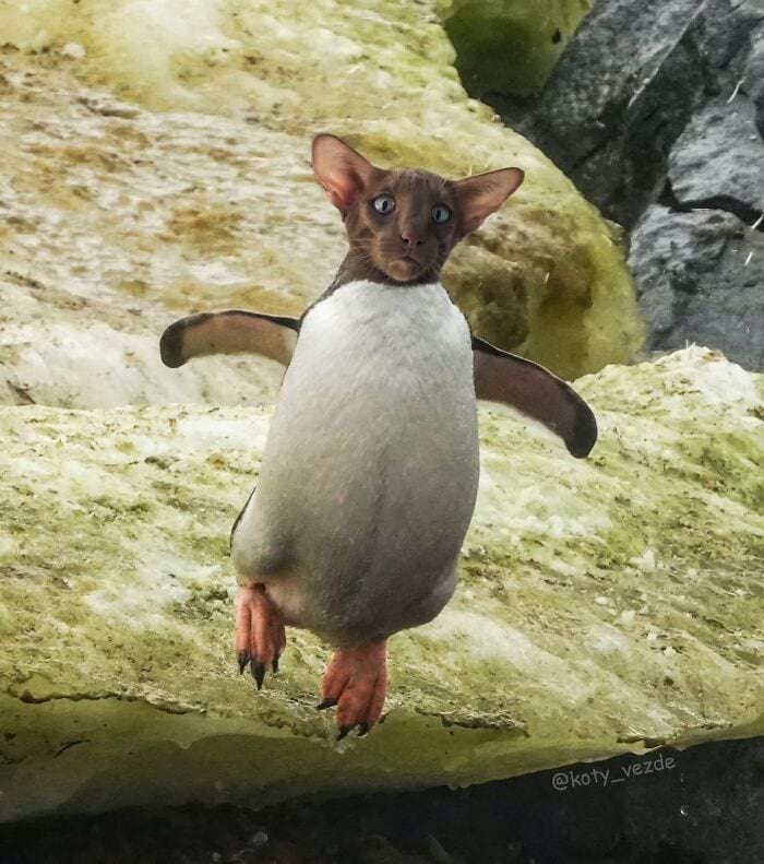 image-20250728104344-19