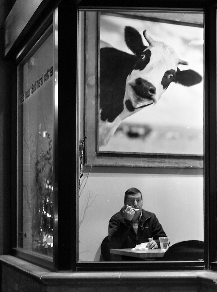 image-20250728125233-5