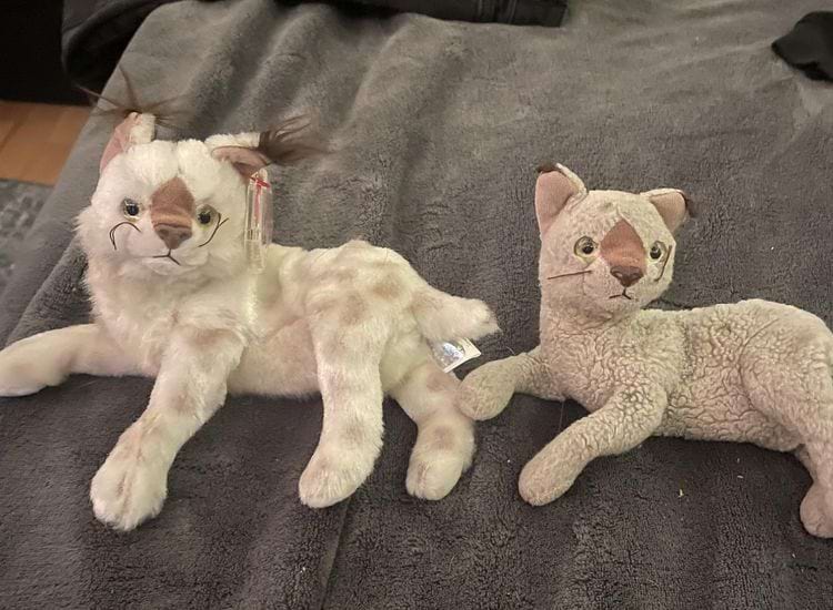 новая мягкая игрушка по сравнению со старой