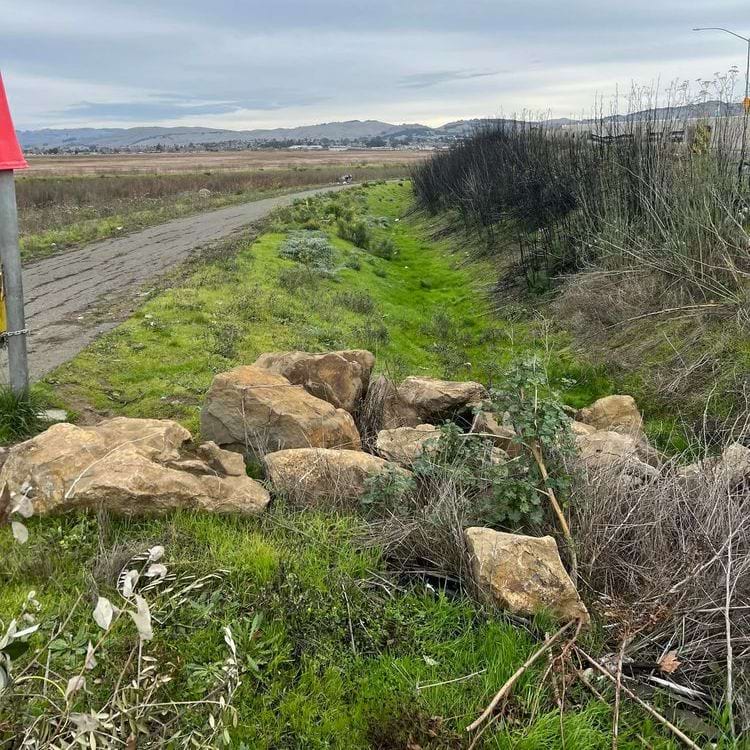 очищенное от мусора место