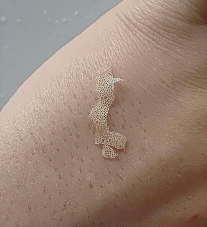 image-20250731122918-16