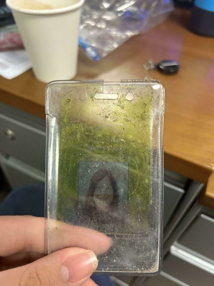 image-20250731153333-11