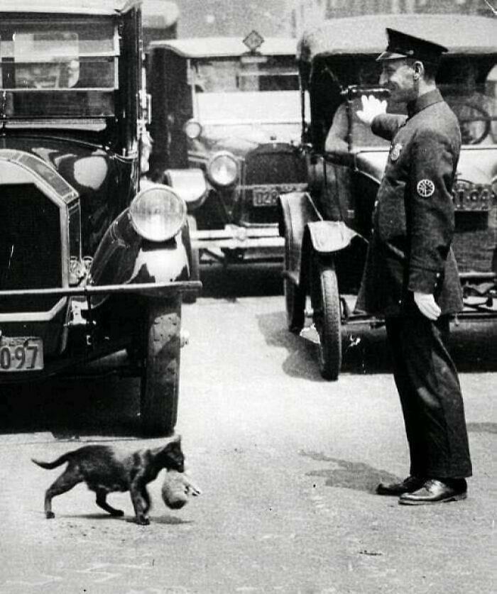 image-20250808152957-6