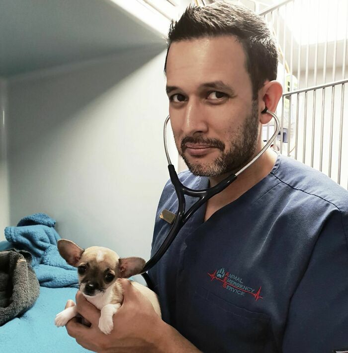 image-20250811153706-11