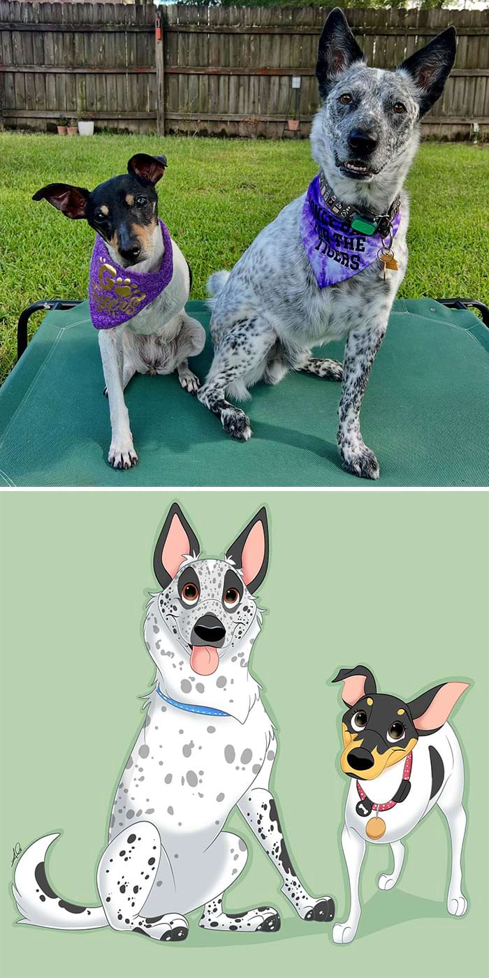 image-20250812103549-3