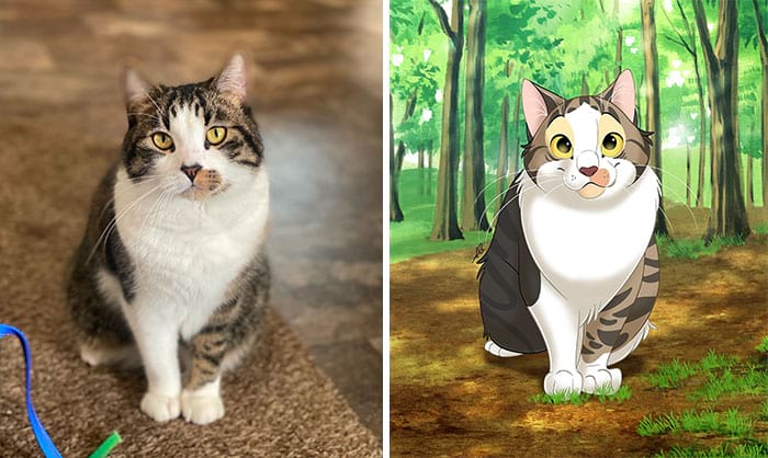 image-20250812103602-7