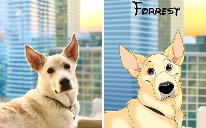 image-20250812103609-9