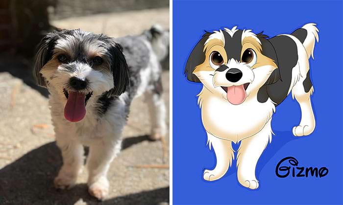 image-20250812103628-15