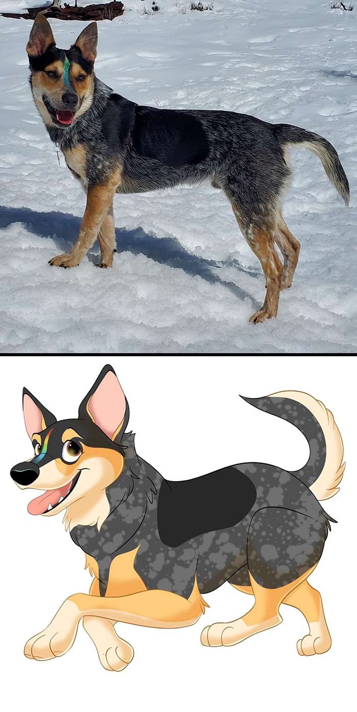 image-20250812103631-16