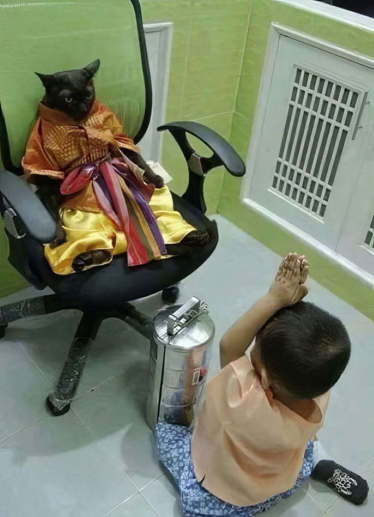 кот в в виде буддийского монаха