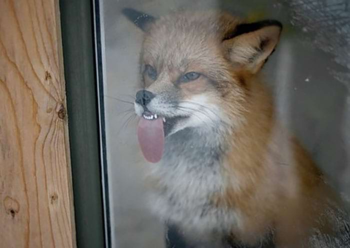 image-20250815133740-2