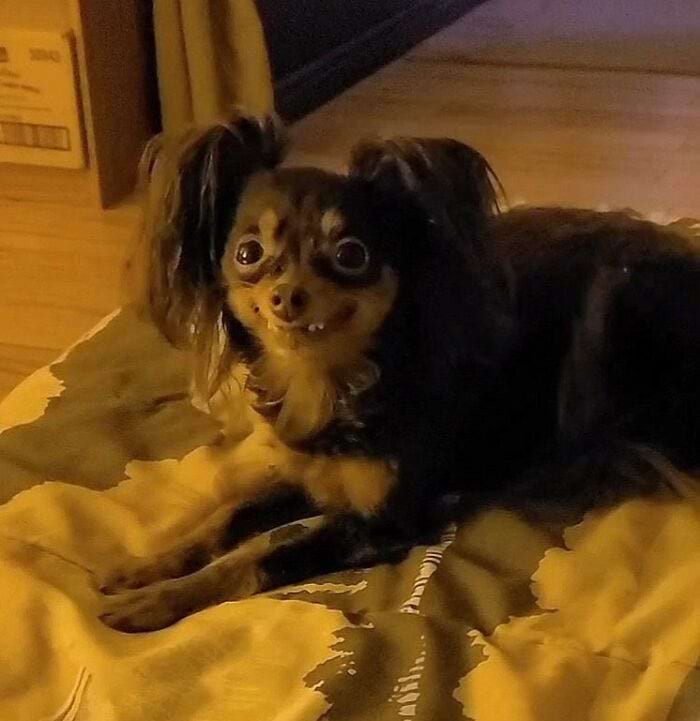 image-20250815133817-14