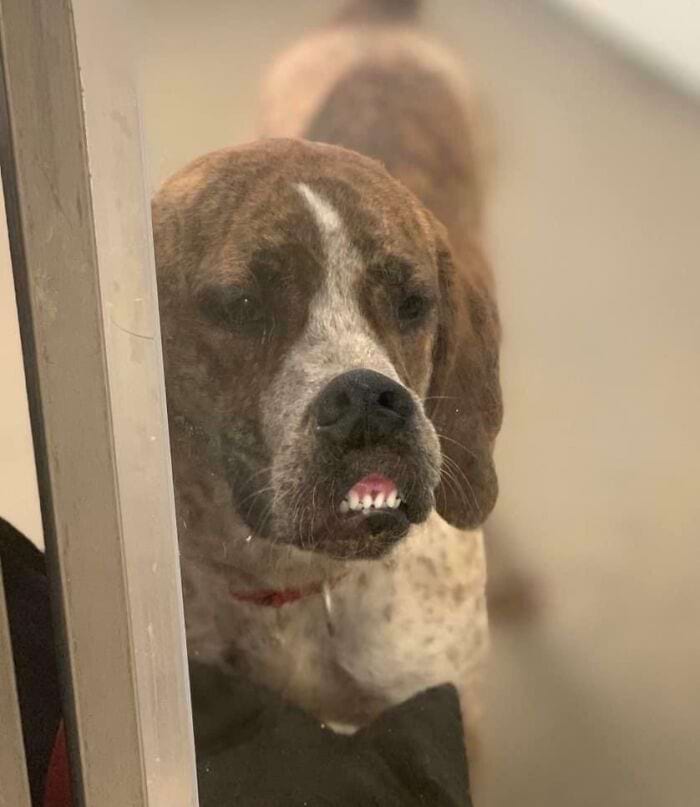 image-20250815133829-18