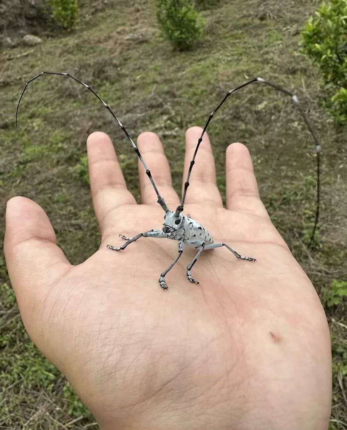 image-20250826122722-1