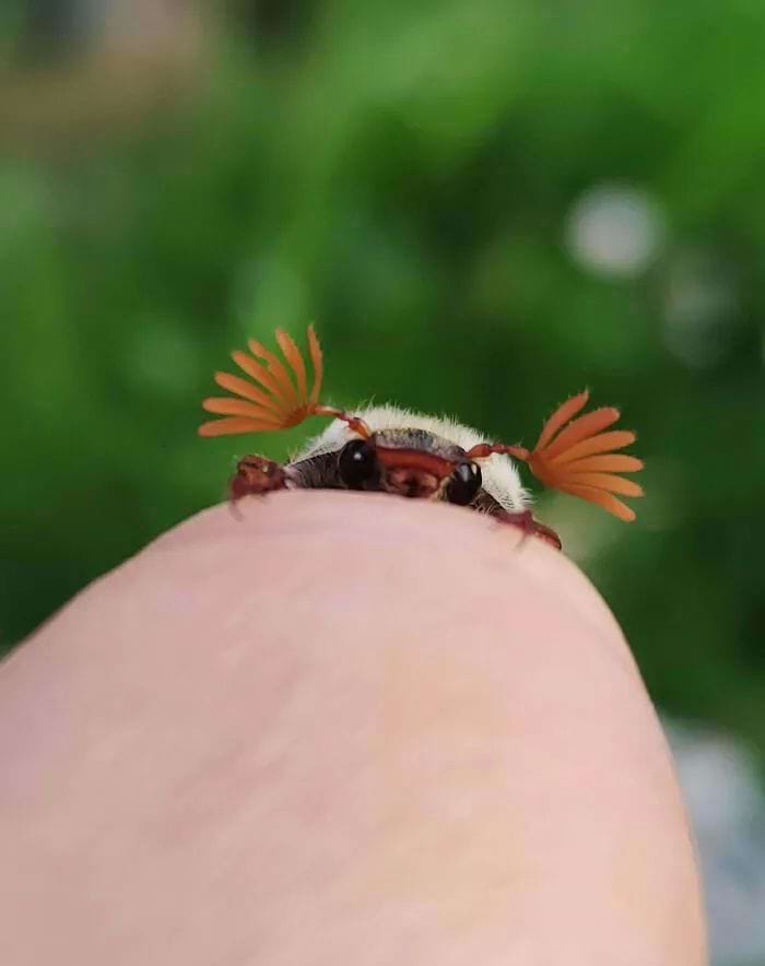 image-20250826122735-3