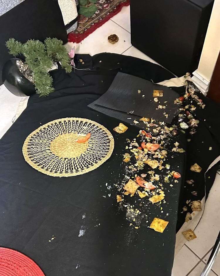 еда упала со стола