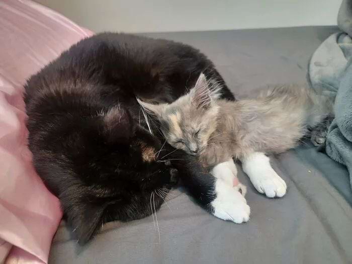 image-20250903160459-4