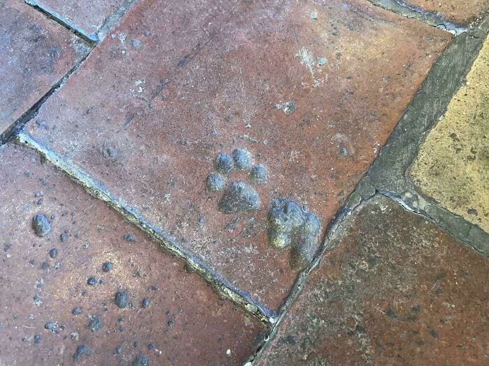 image-20250904163640-4