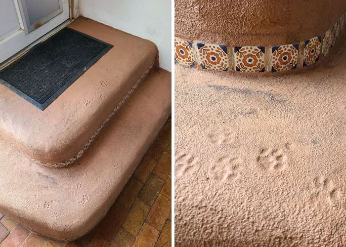 image-20250904163644-5