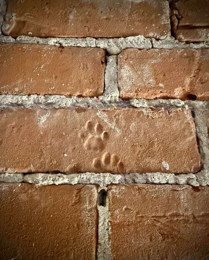 image-20250904163651-7