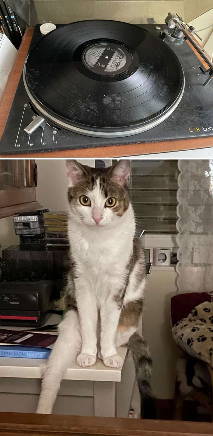 image-20250904165853-18