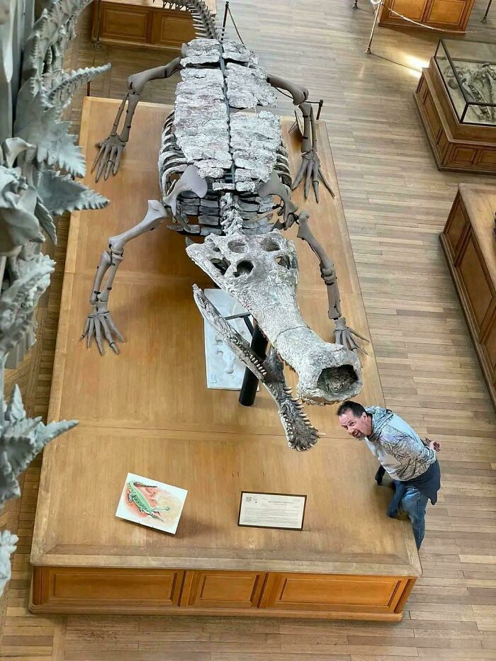 image-20250904173904-8