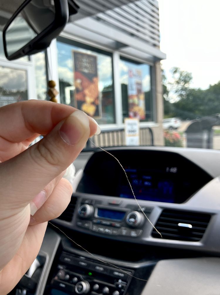 седой волос, у которого 30 секущихся кончиков