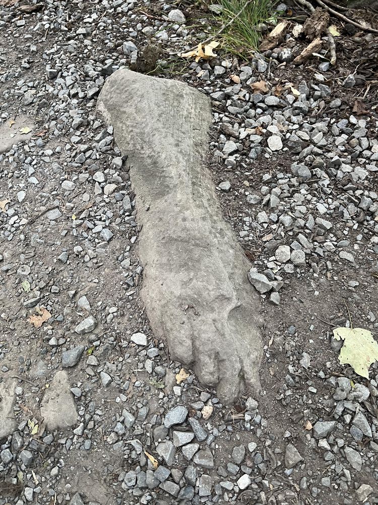 камень, похожий на ногу