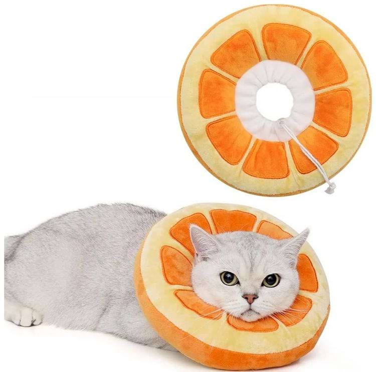 мягкий кошачий конус на время восстановления после операции